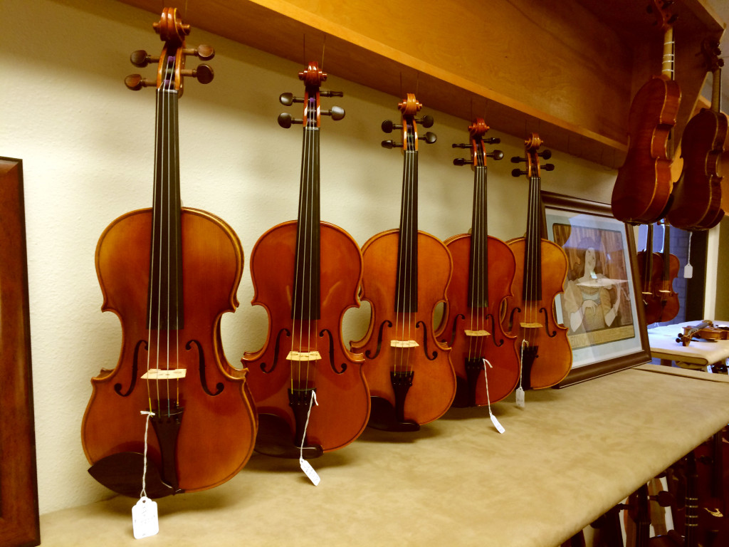 VIolins, Violas, Cellos, and Double Bass
